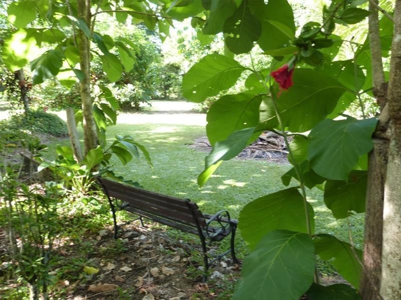 1245 Old Tully Road, El Arish QLD 4855