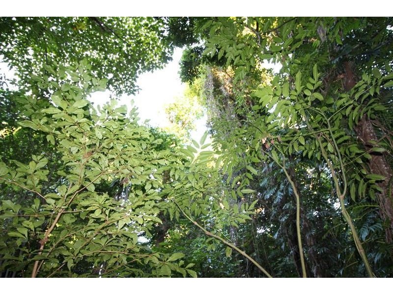 Lot 64, 9 Bicton Close, Bingil Bay QLD 4852