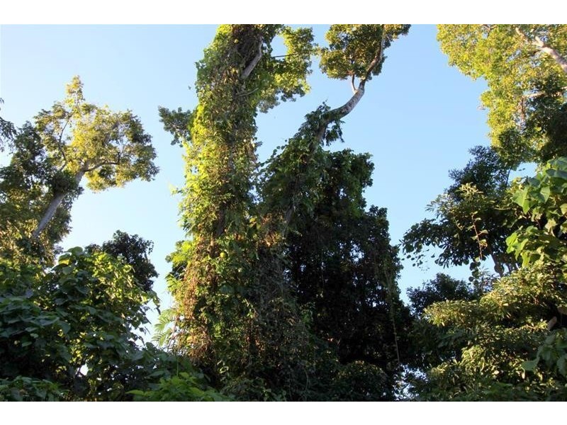 Lot 64, 9 Bicton Close, Bingil Bay QLD 4852