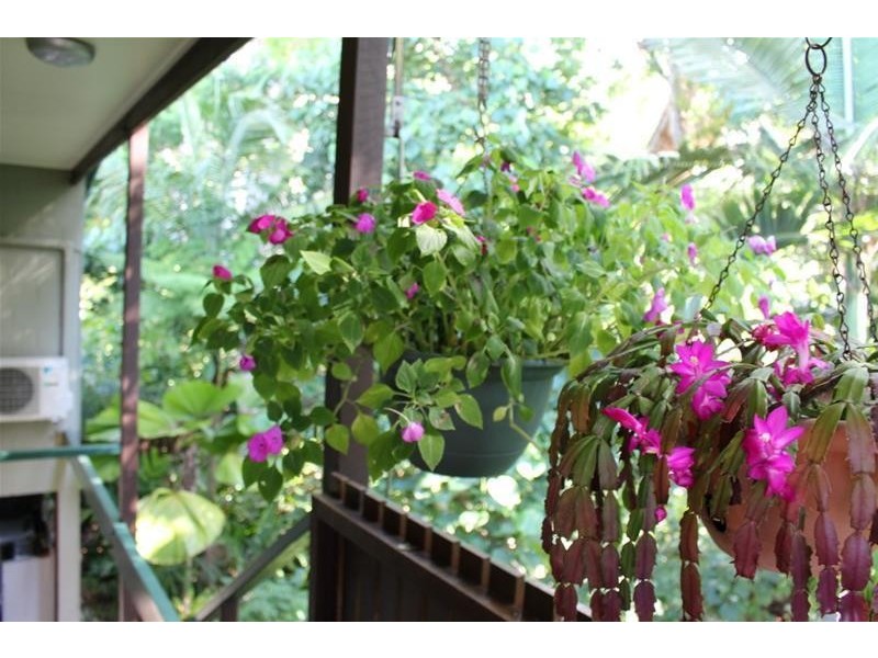 1/35 Reid Road, Wongaling Beach QLD 4852