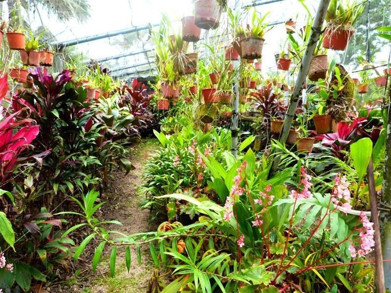 19 MJV McNamara Close, Bulgun QLD 4854