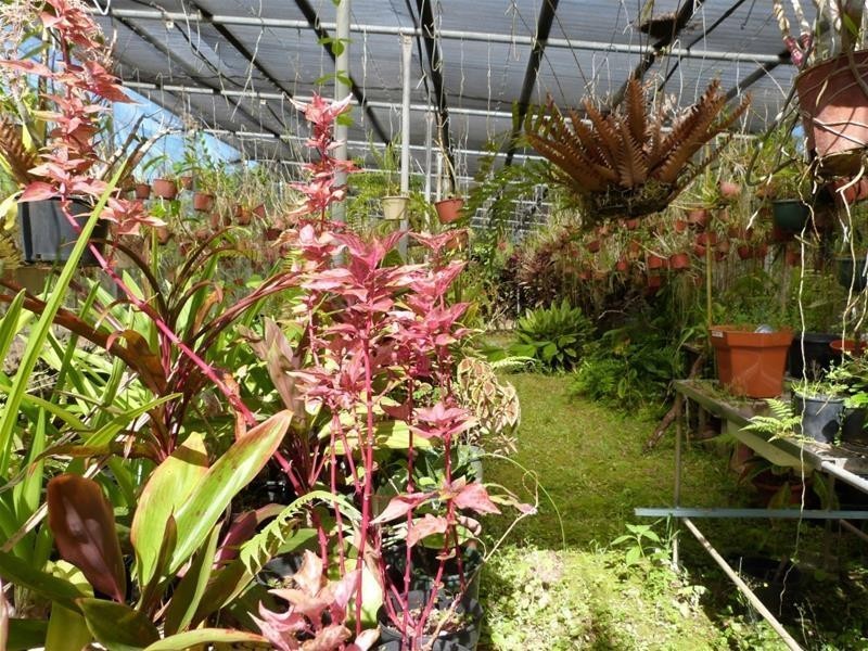 19 MJV McNamara Close, Bulgun QLD 4854