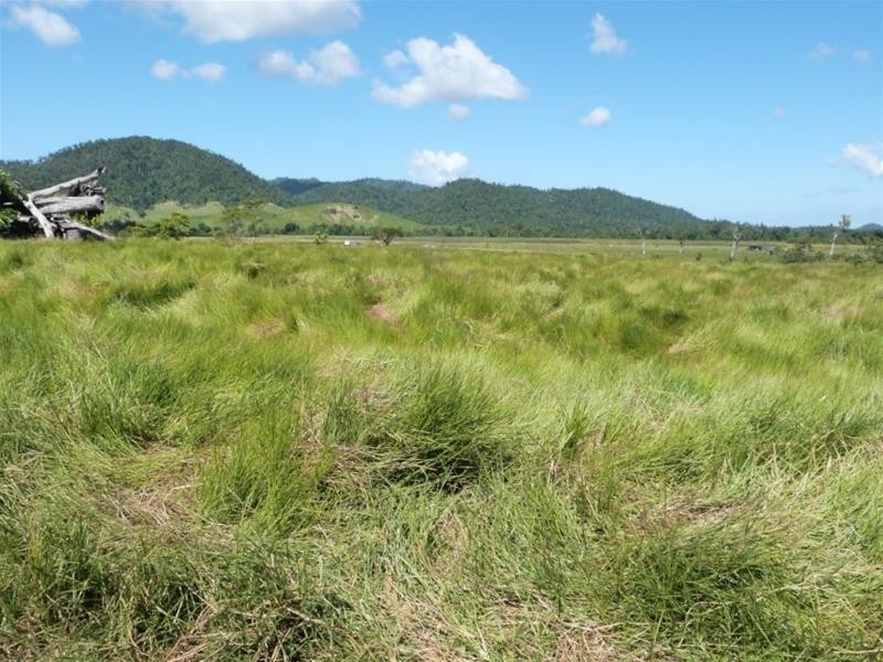 173 Dargin Road, Maria Creeks QLD 4855