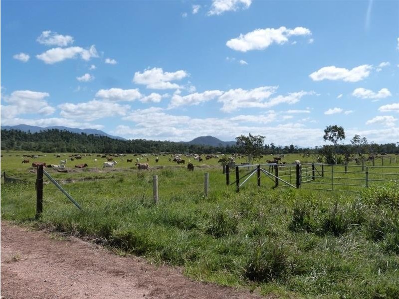 173 Dargin Road, Maria Creeks QLD 4855