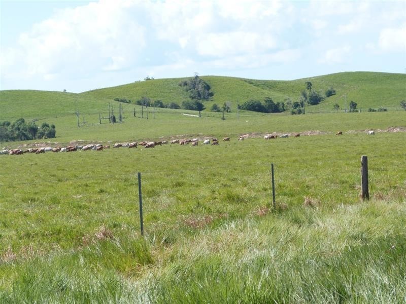 173 Dargin Road, Maria Creeks QLD 4855