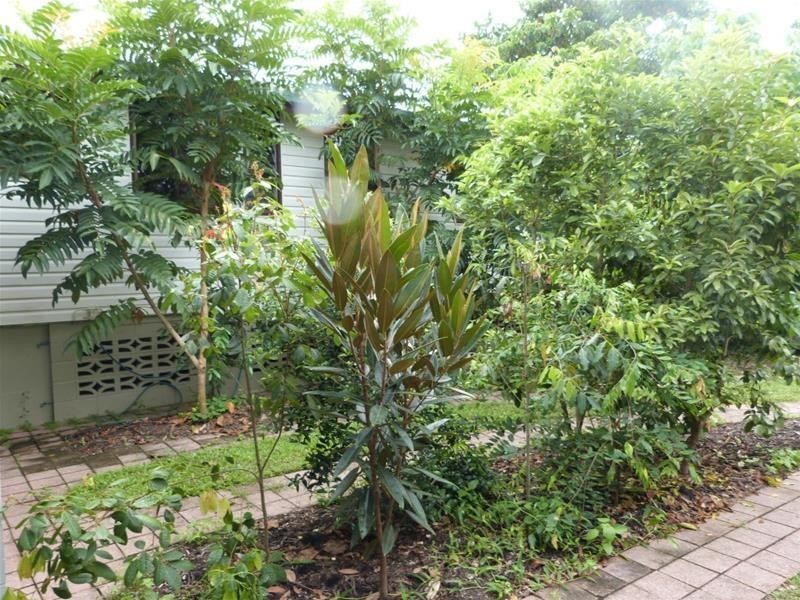 4 Walter Lever Estate Road, Silkwood QLD 4856