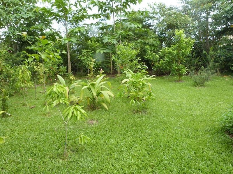 4 Walter Lever Estate Road, Silkwood QLD 4856