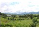 Lot 8, 729 Mena Creek Road, Mena Creek QLD 4871