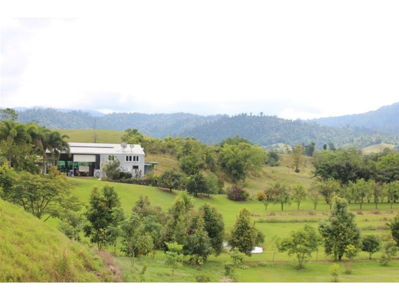 Lot 8, 729 Mena Creek Road, Mena Creek QLD 4871