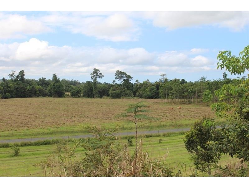 Lot 8, 729 Mena Creek Road, Mena Creek QLD 4871