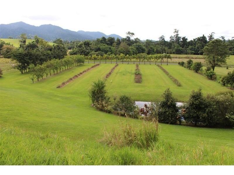 Lot 8, 729 Mena Creek Road, Mena Creek QLD 4871