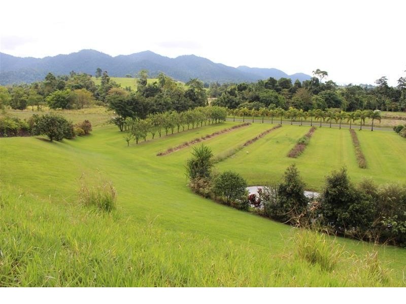 Lot 8, 729 Mena Creek Road, Mena Creek QLD 4871