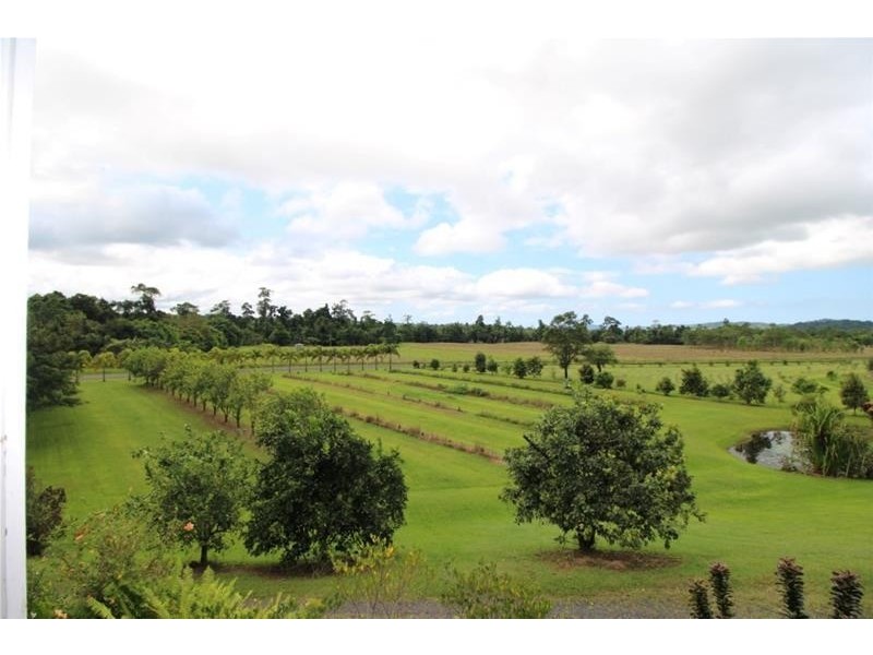 Lot 8, 729 Mena Creek Road, Mena Creek QLD 4871