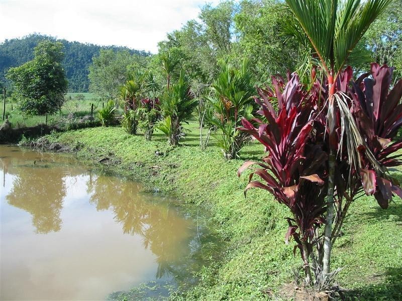 68 Meuanbah Road, Bombeeta QLD 4871