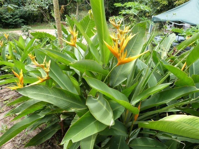 19 Mission Circle, Wongaling Beach QLD 4852