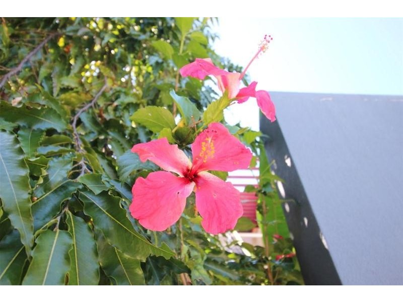 8/51A Porter Promenade, Mission Beach QLD 4852