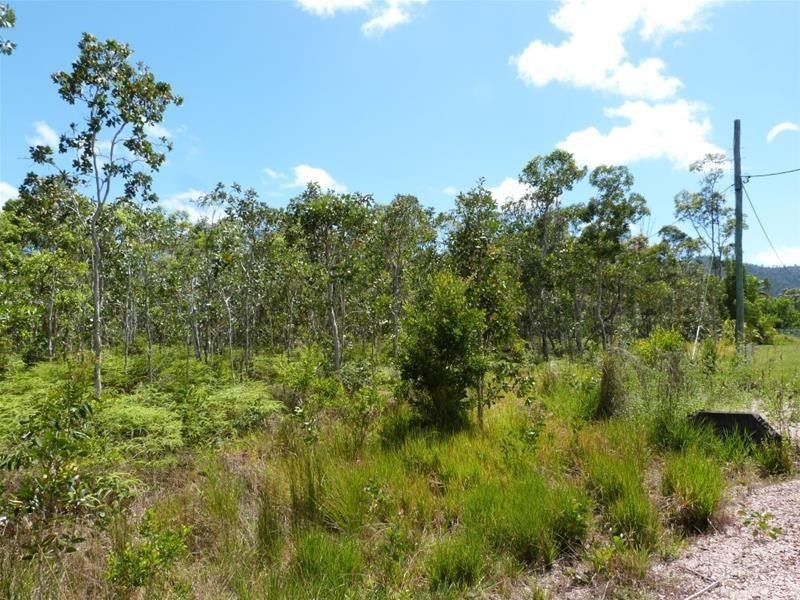 Lot 28, 28 McIntosh Road, East Feluga QLD 4854