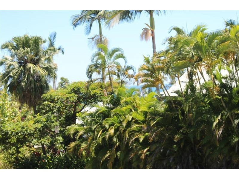 Lot 84, 43 Cutten Street, Bingil Bay QLD 4852