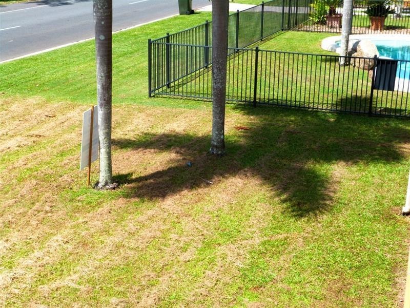 121 Reid Road, Wongaling Beach QLD 4852