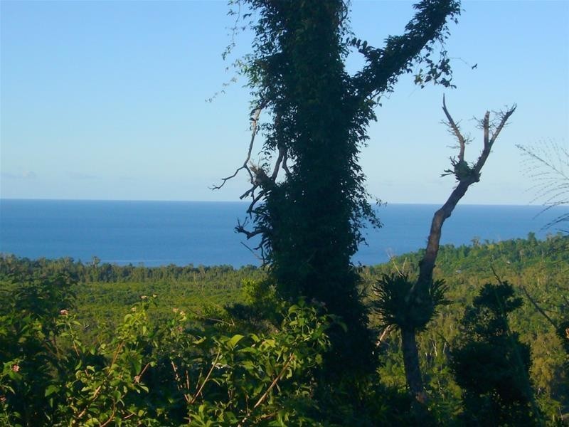 Lot 2, 13 Frizelle Road, Bingil Bay QLD 4852