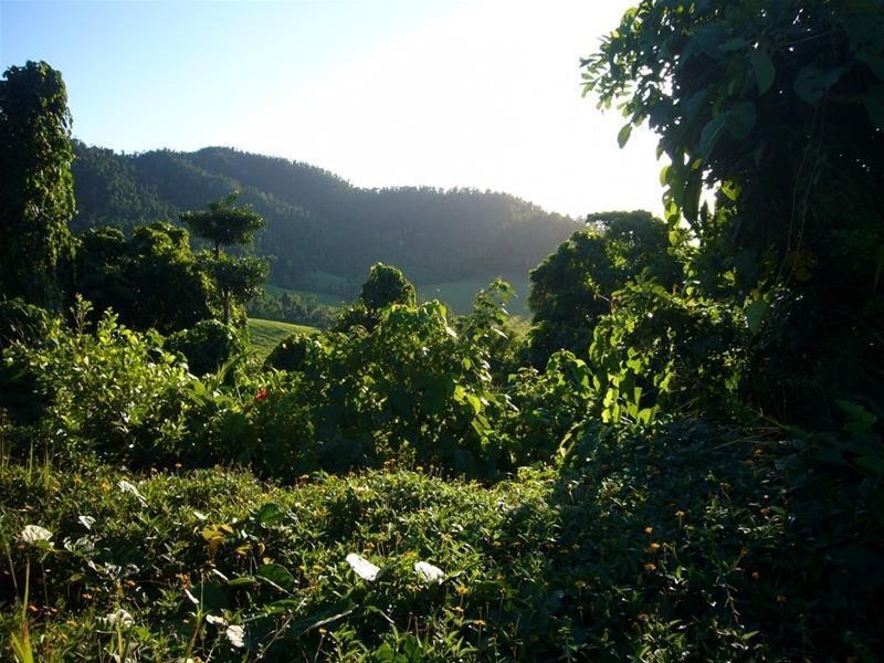 Lot 2, 13 Frizelle Road, Bingil Bay QLD 4852