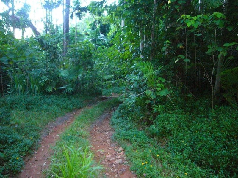 Lot 2, 13 Frizelle Road, Bingil Bay QLD 4852