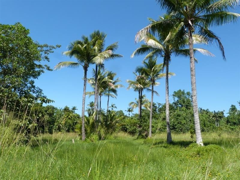 Lot 2, 13 Frizelle Road, Bingil Bay QLD 4852