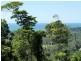Lot 2, 13 Frizelle Road, Bingil Bay QLD 4852