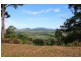 Lot 19, Lot 19 Bilic Road, Shell Pocket QLD 4855