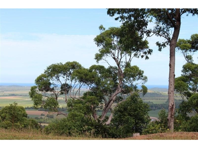 Lot 19, Lot 19 Bilic Road, Shell Pocket QLD 4855