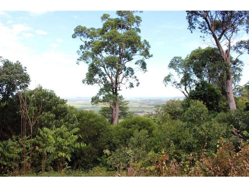 Lot 19, Lot 19 Bilic Road, Shell Pocket QLD 4855