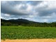 Lot/364 Cassowary Drive, El Arish QLD 4855