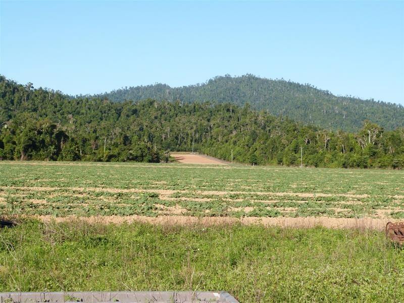Lot/364 Cassowary Drive, El Arish QLD 4855
