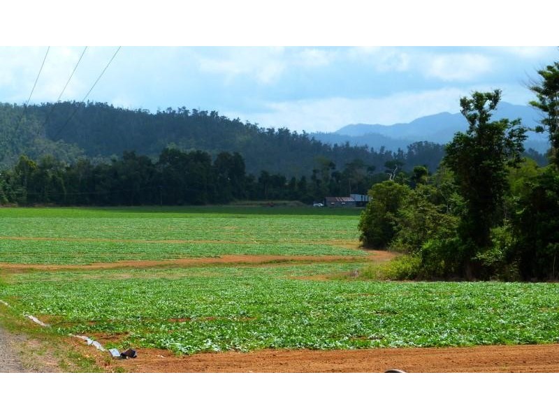 Lot/364 Cassowary Drive, El Arish QLD 4855