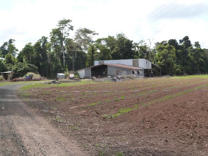 Lot/364 Cassowary Drive, El Arish QLD 4855