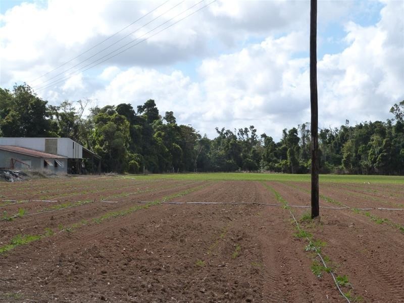 Lot/364 Cassowary Drive, El Arish QLD 4855