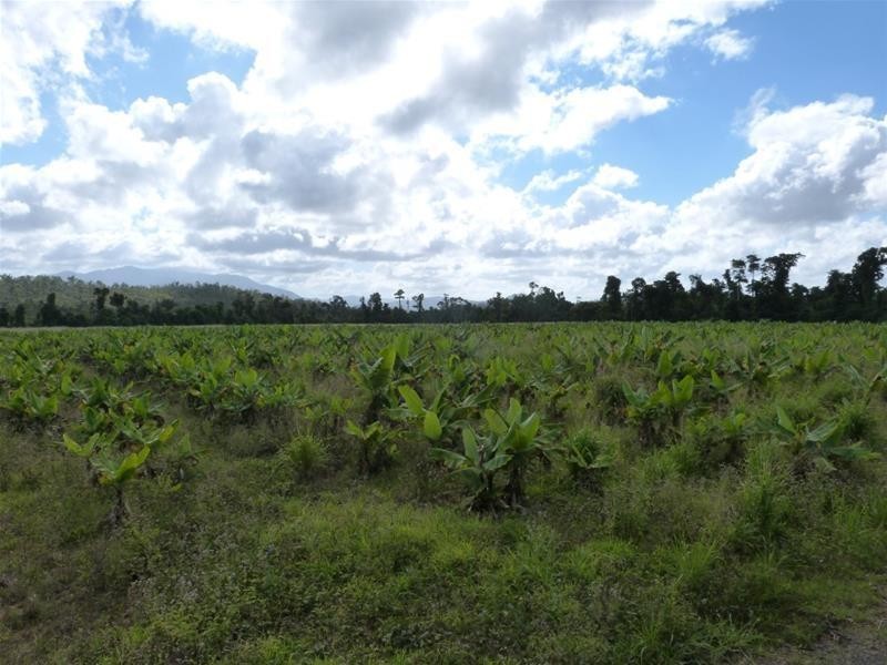 Lot/364 Cassowary Drive, El Arish QLD 4855