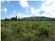 Lot/364 Cassowary Drive, El Arish QLD 4855