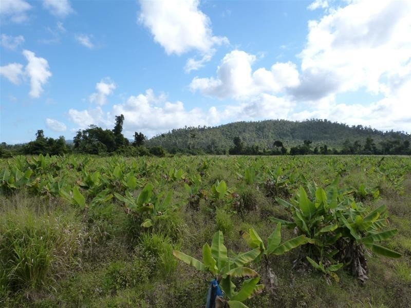 Lot/364 Cassowary Drive, El Arish QLD 4855