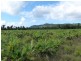 Lot/364 Cassowary Drive, El Arish QLD 4855