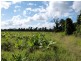 Lot/364 Cassowary Drive, El Arish QLD 4855