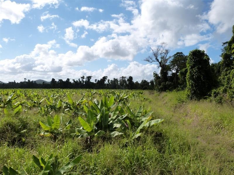 Lot/364 Cassowary Drive, El Arish QLD 4855