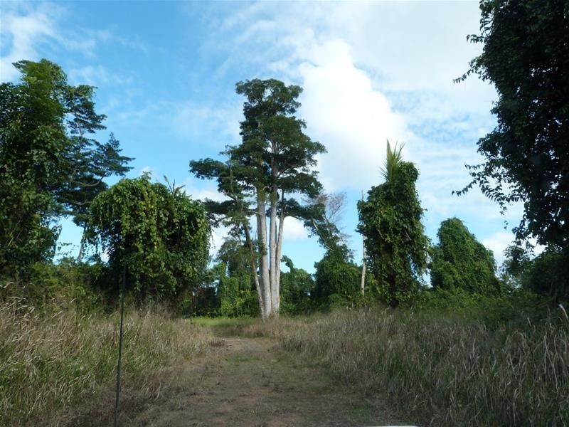 Lot/364 Cassowary Drive, El Arish QLD 4855