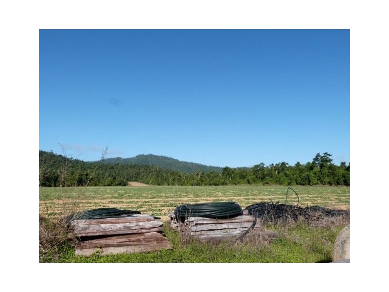 Lot/364 Cassowary Drive, El Arish QLD 4855