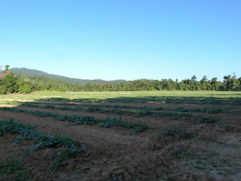 Lot/364 Cassowary Drive, El Arish QLD 4855