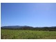 Lot 40, 40 Silkwood Japoon Road, Japoonvale QLD 4856