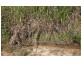 Lot 40, 40 Silkwood Japoon Road, Japoonvale QLD 4856