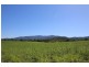 Lot 40, 40 Silkwood Japoon Road, Japoonvale QLD 4856