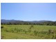 Lot 40, 40 Silkwood Japoon Road, Japoonvale QLD 4856