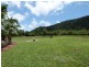 Lot 92 Friday Pocket Road, Friday Pocket QLD 4855